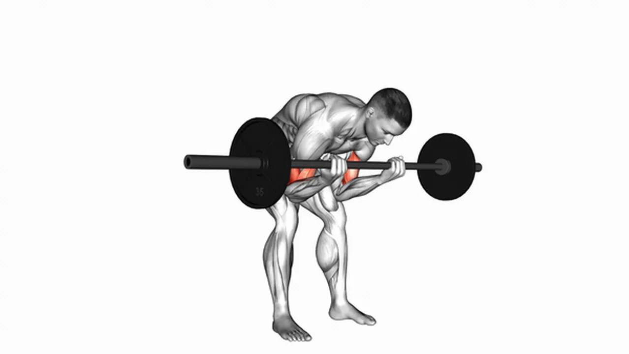 How to do Barbell Standing Concentration Curls? Image