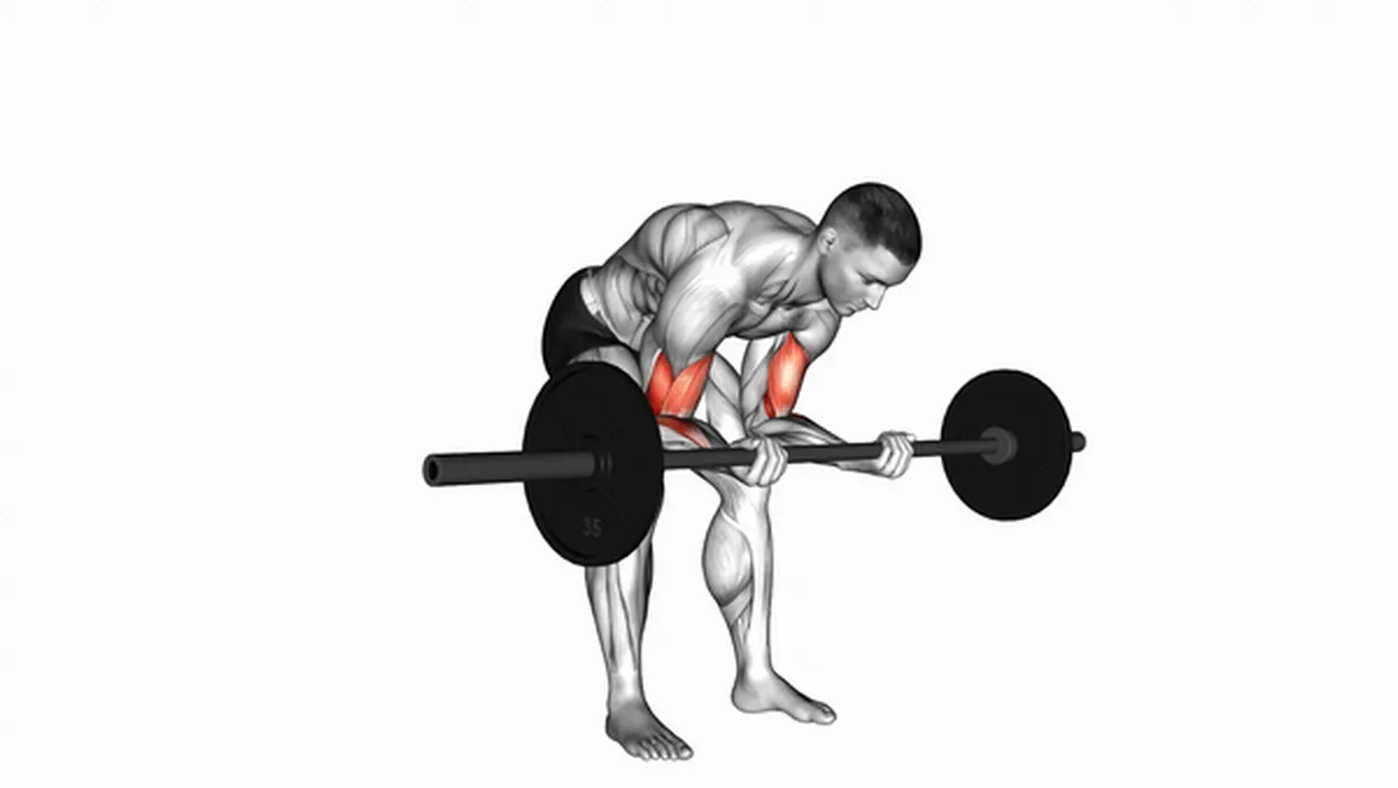 Common Barbell Standing Concentration Curls variations Image