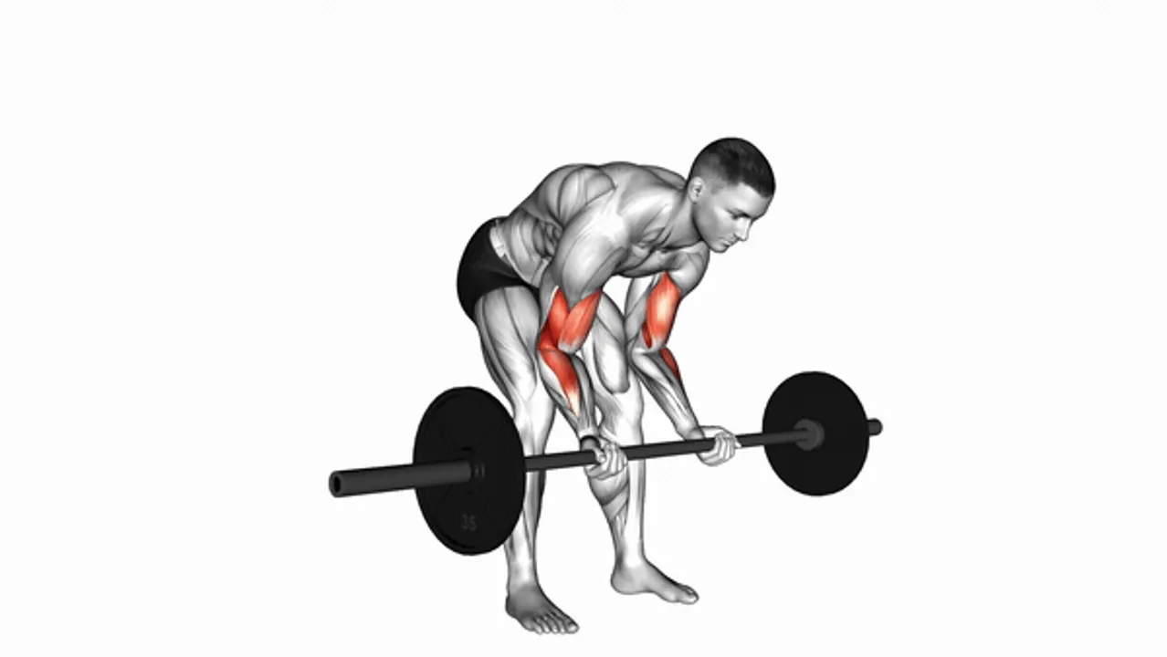 Barbell Standing Concentration Curls