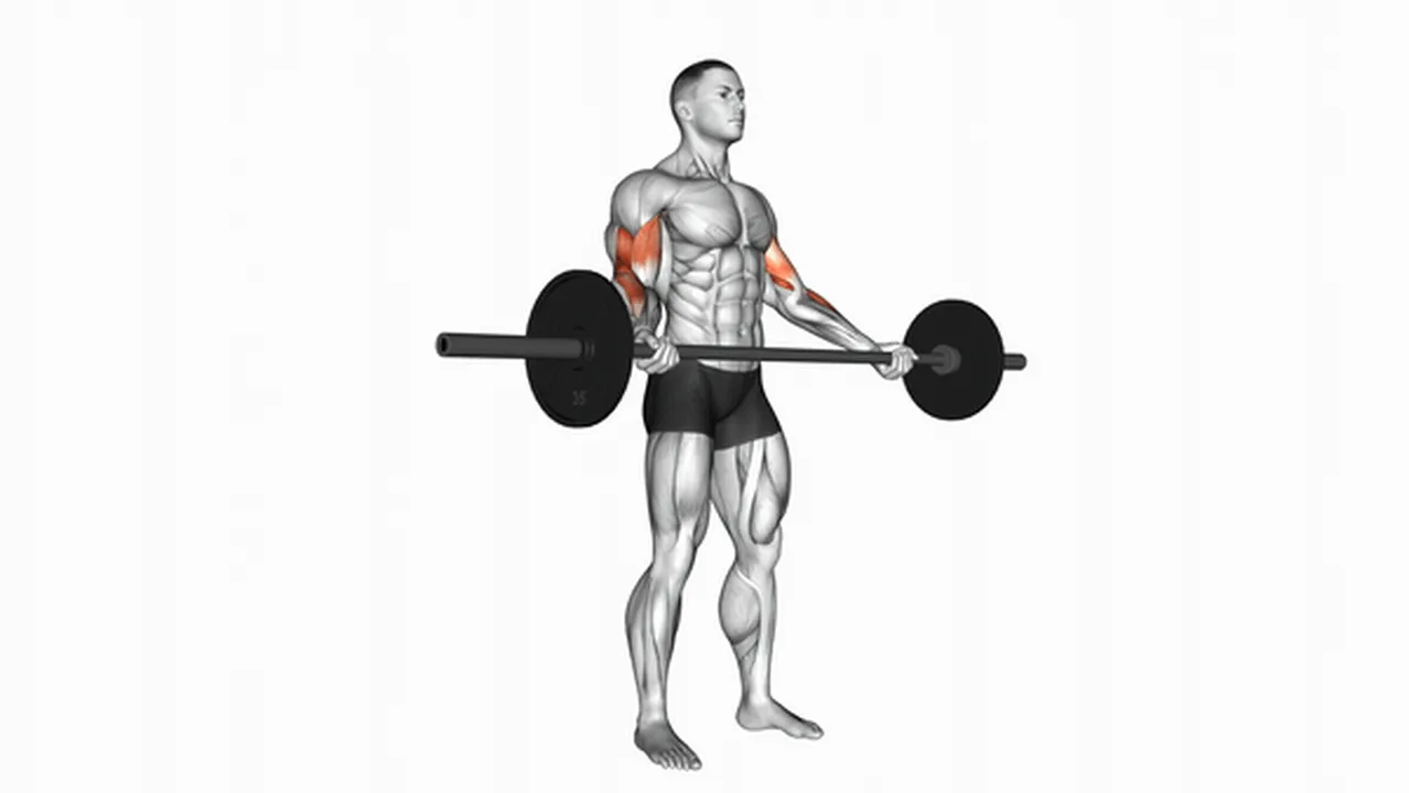 Alternatives to Barbell Standing Wide Grip Biceps Curls Image