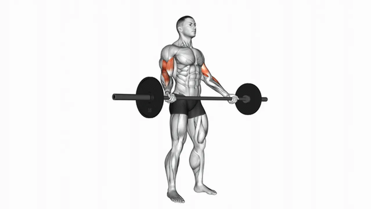 Common mistakes during Barbell Standing Wide Grip Biceps Curls Image