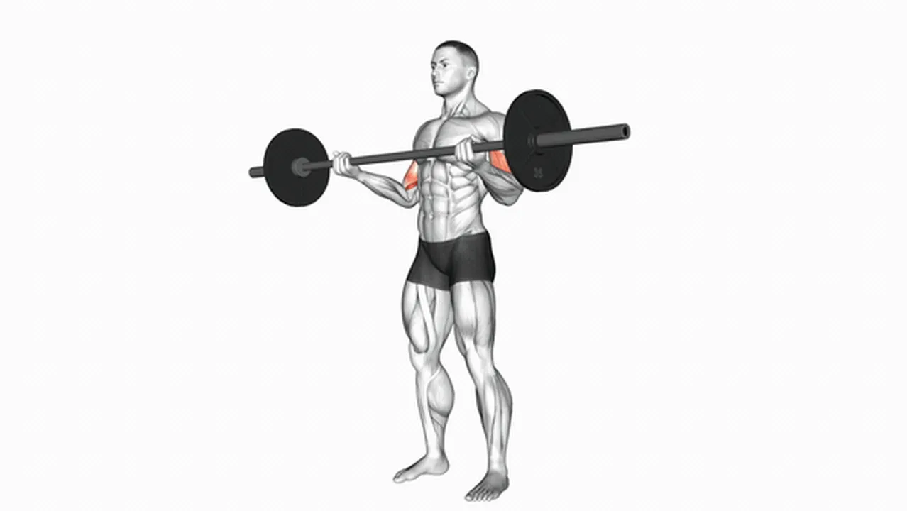 Common Barbell Standing Wide Grip Curl variations Image