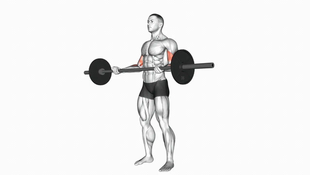 Alternatives to the Barbell Standing Wide Grip Curl Image