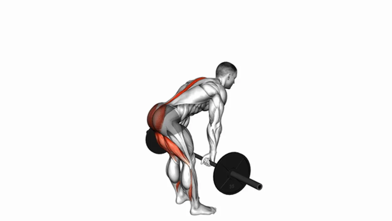 Barbell Stiff-Legged Deadlift