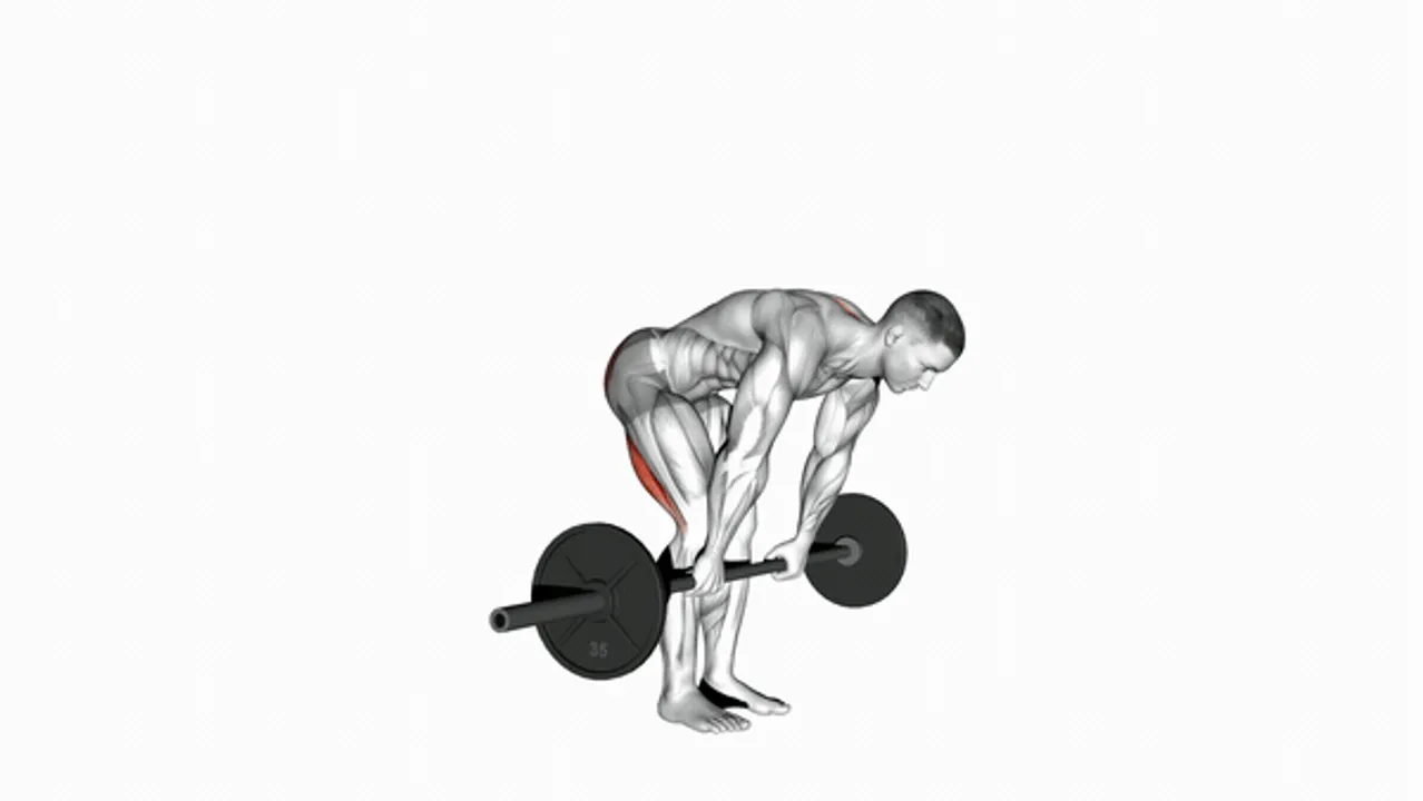 Barbell Straight Leg Deadlift