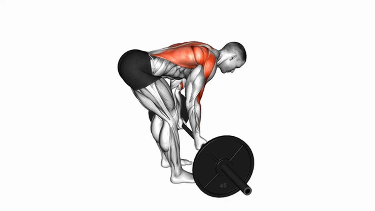 What are the benefits of the Barbell Underhand Bent Over Row? Image