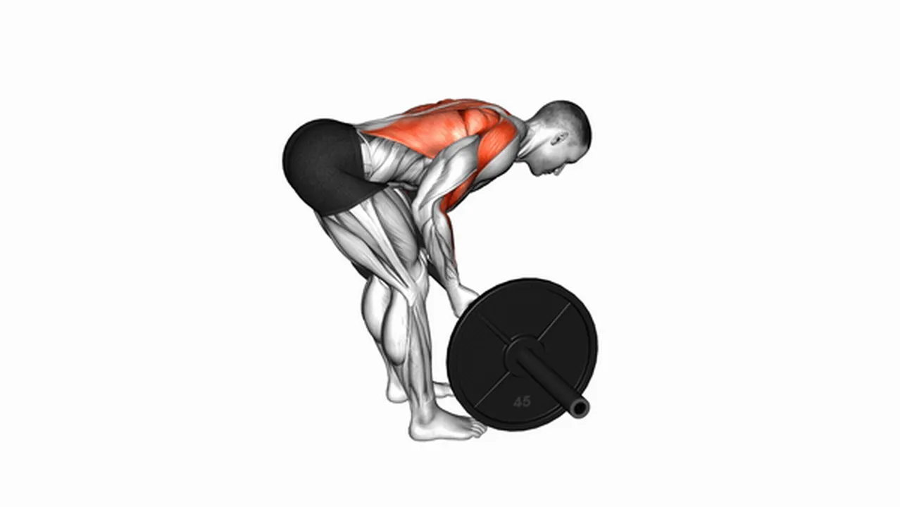 Common variations of Barbell Underhand Bent Over Rows Image