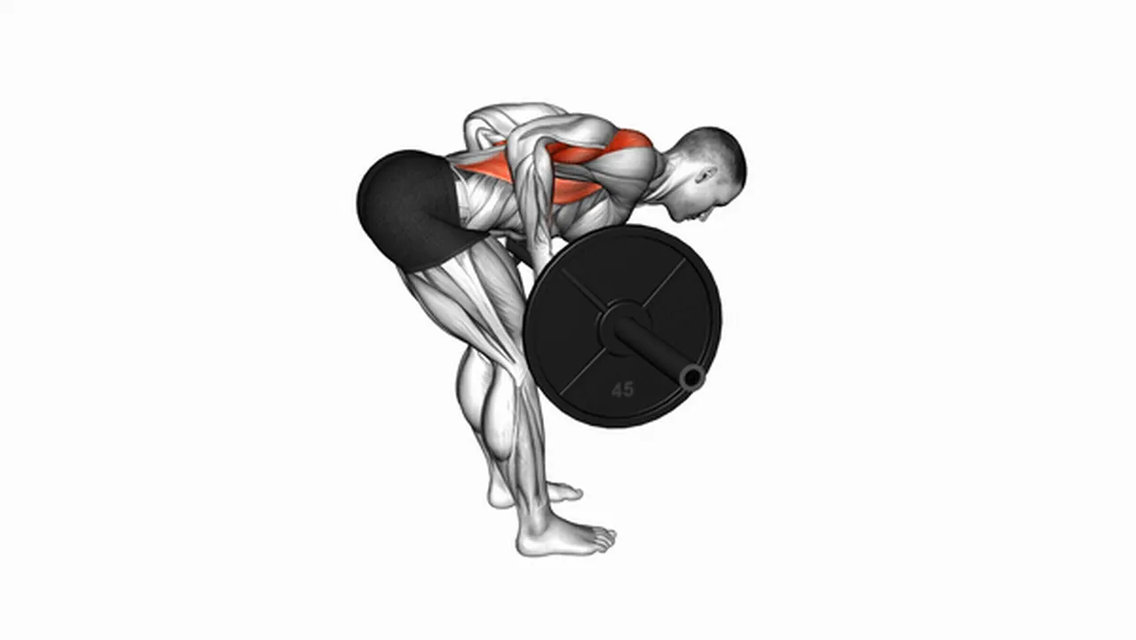 Alternatives to Barbell Underhand Bent Over Rows Image