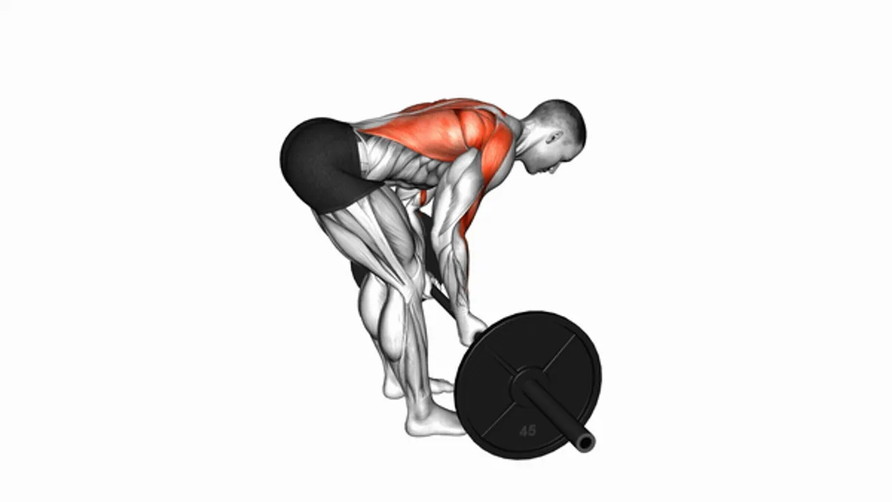 Barbell Underhand Bent Over Row