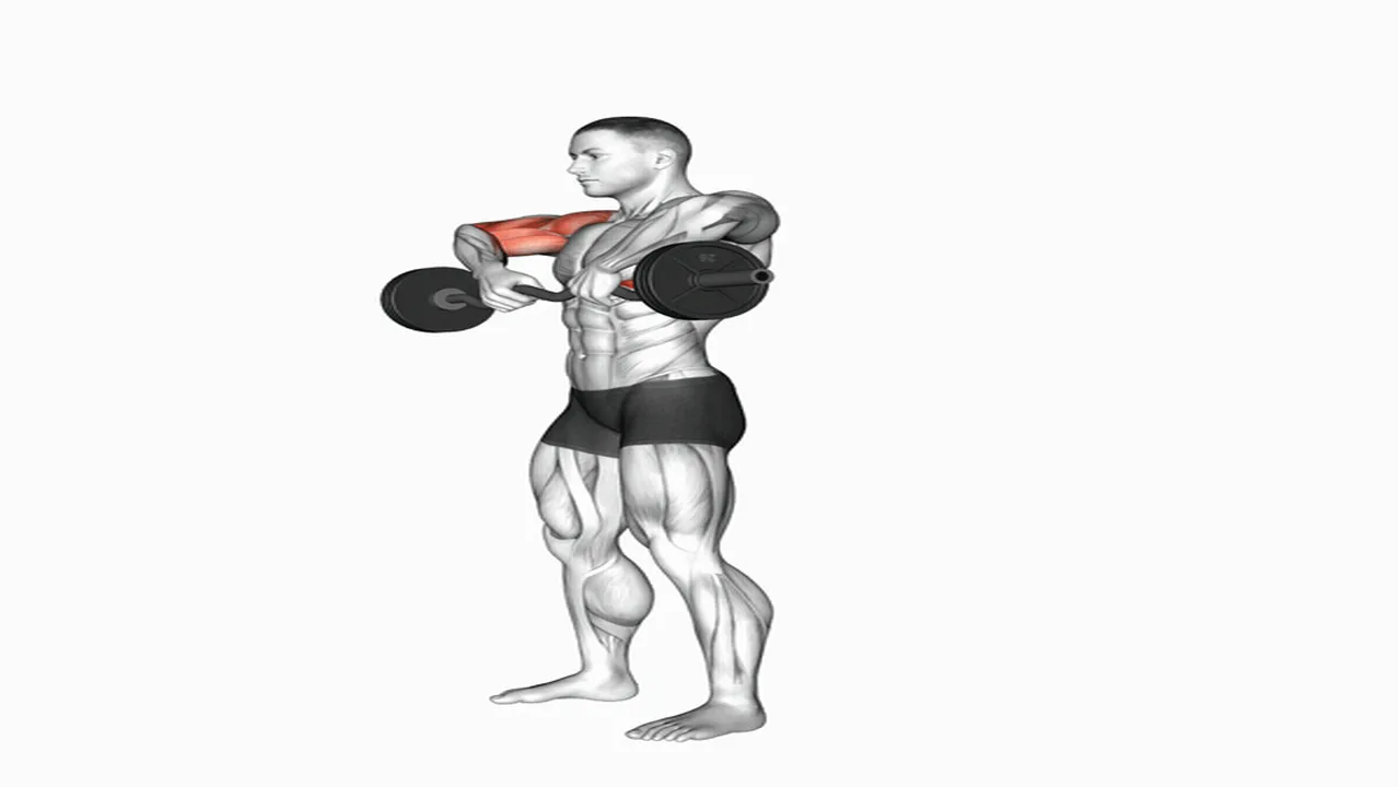 Common Barbell Upright Row variations Image