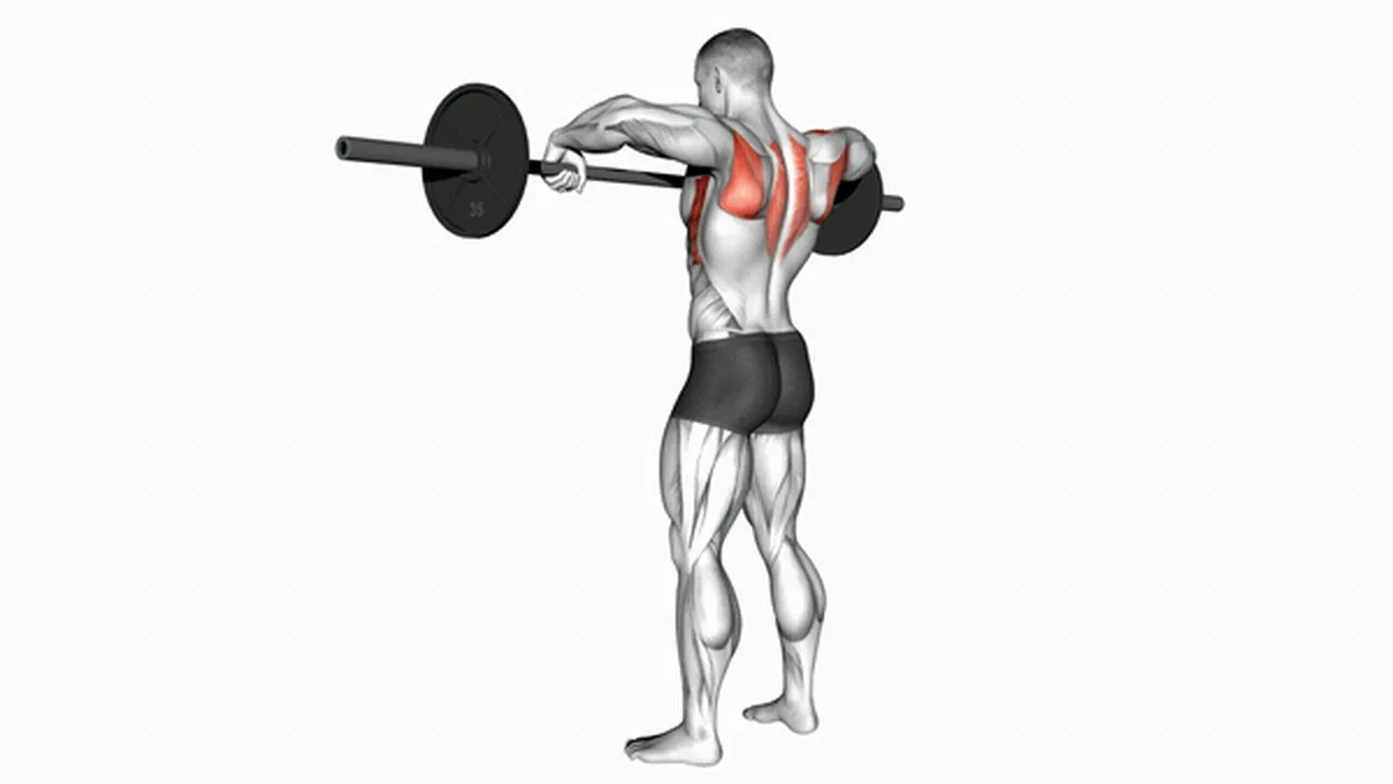 Common Barbell Wide Grip Upright Row variations Image