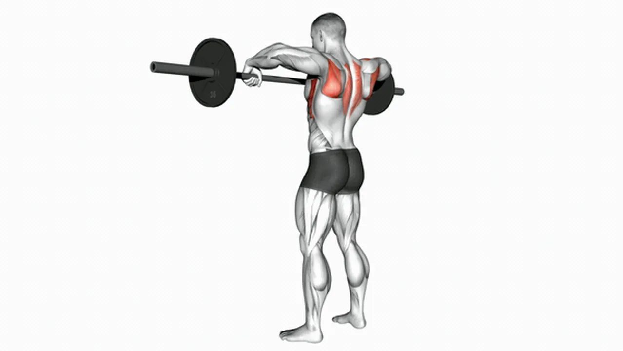 Alternatives to Barbell Wide Grip Upright Rows Image