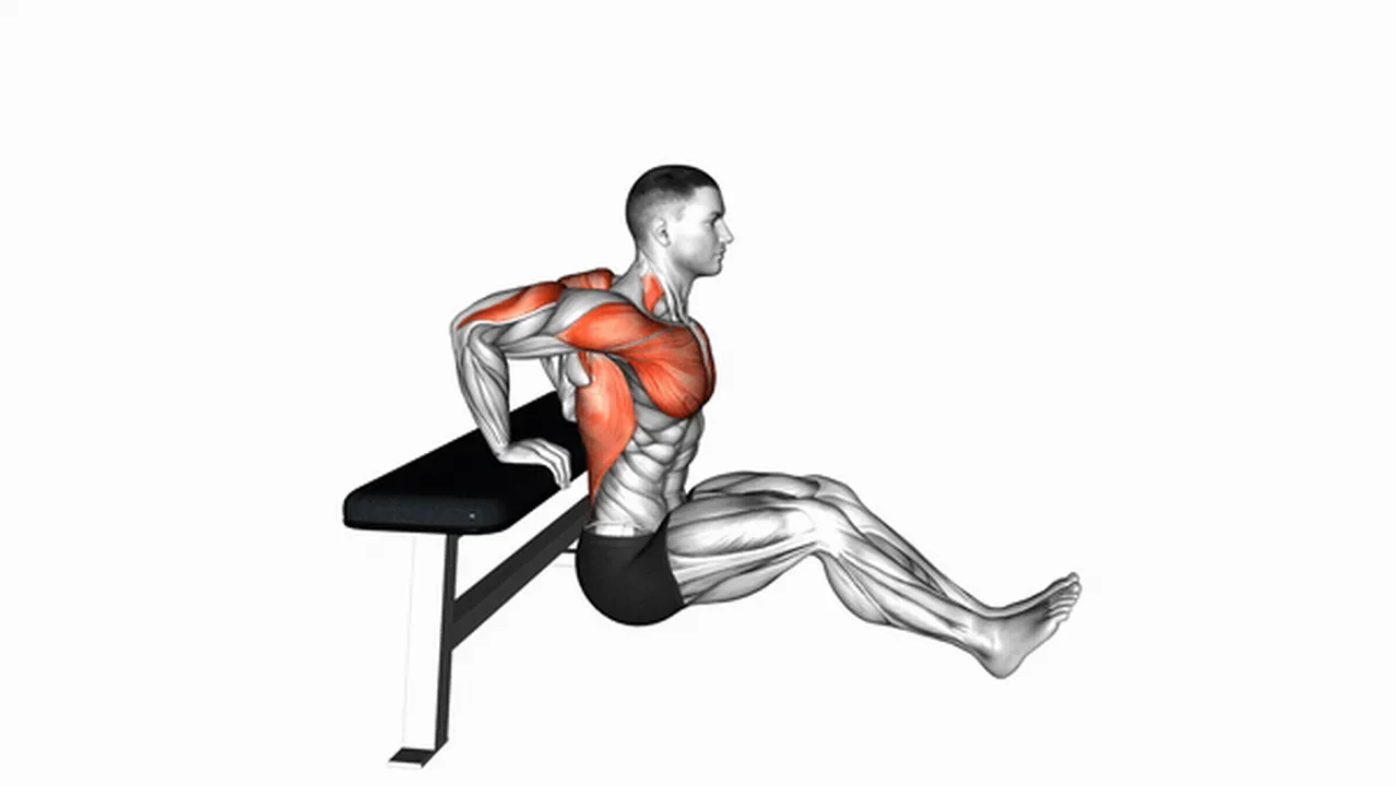 Common bench dip variations Image