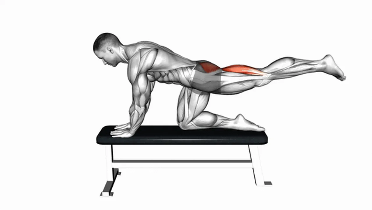 Common bench hip extension variations Image