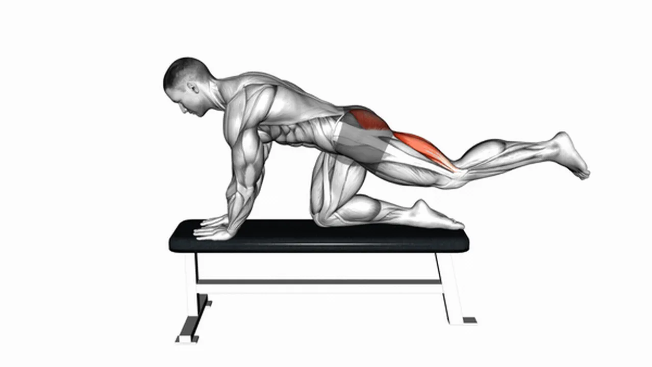 Alternatives to bench hip extensions Image