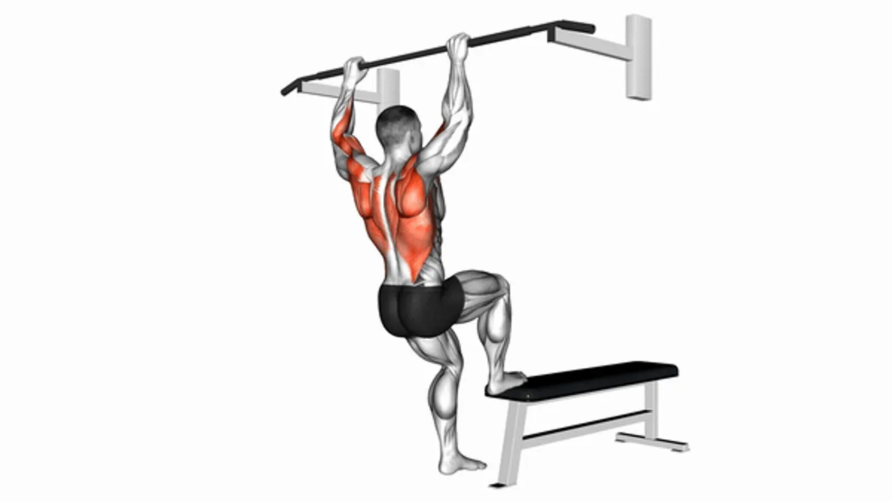 Bench Pull-ups