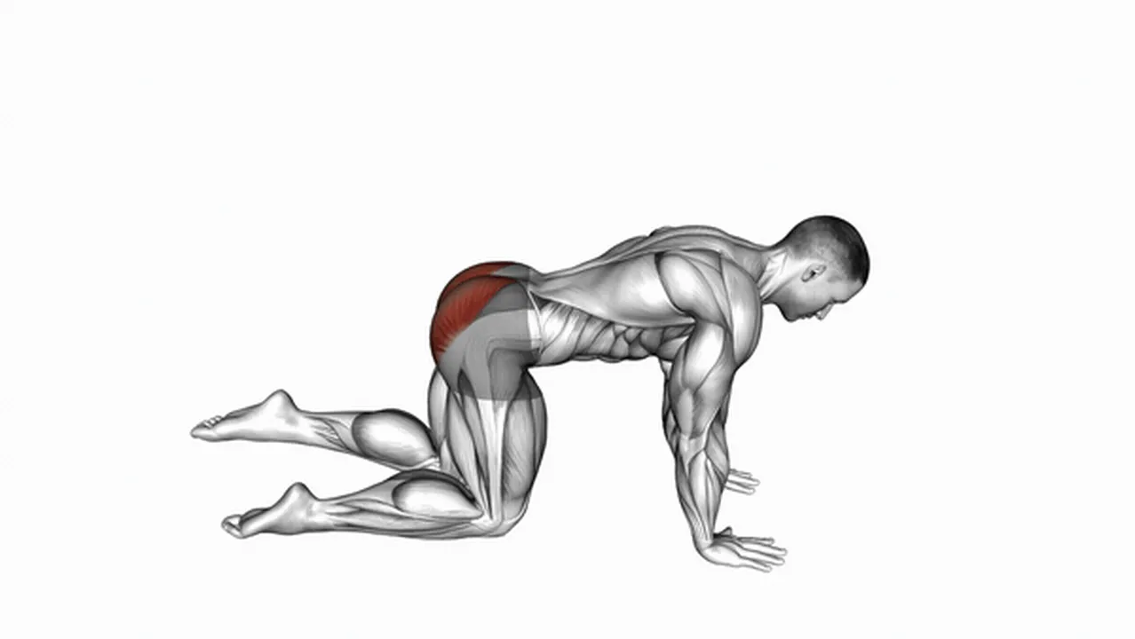 How to do Bent Leg Kickbacks? Image