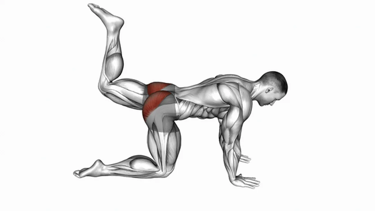 Alternatives to Bent Leg Kickbacks Image