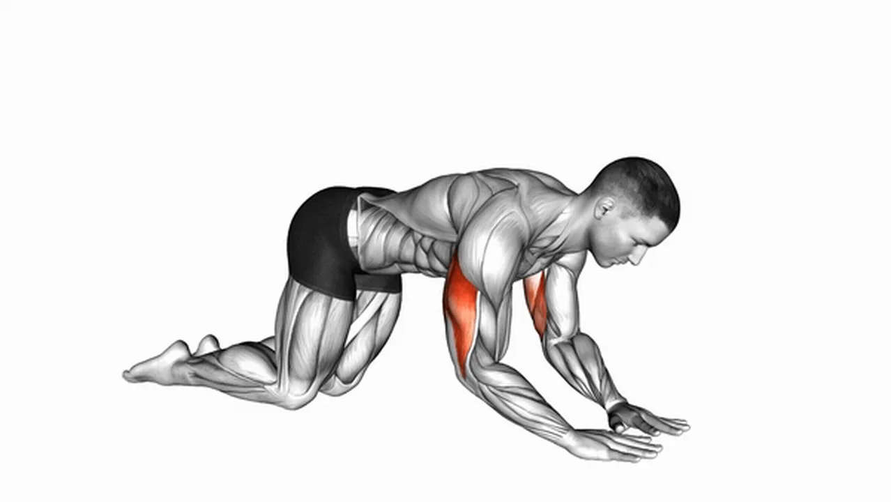 How to do Bodyweight Kneeling Triceps Extensions? Image