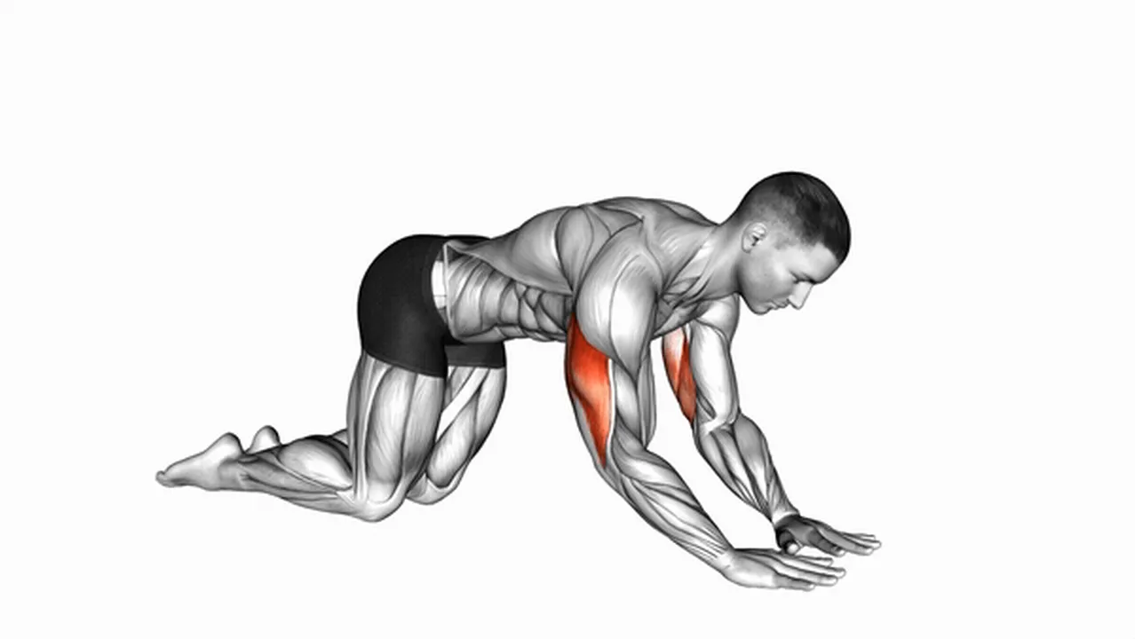 Common Bodyweight Kneeling Triceps Extensions variations Image