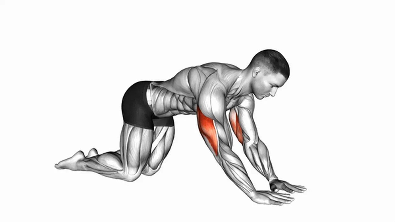 Alternatives to Bodyweight Kneeling Triceps Extensions Image