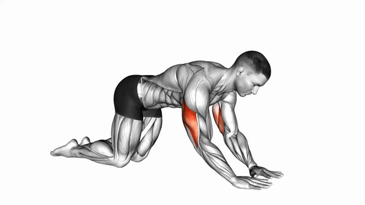 Common mistakes during Bodyweight Kneeling Triceps Extensions Image