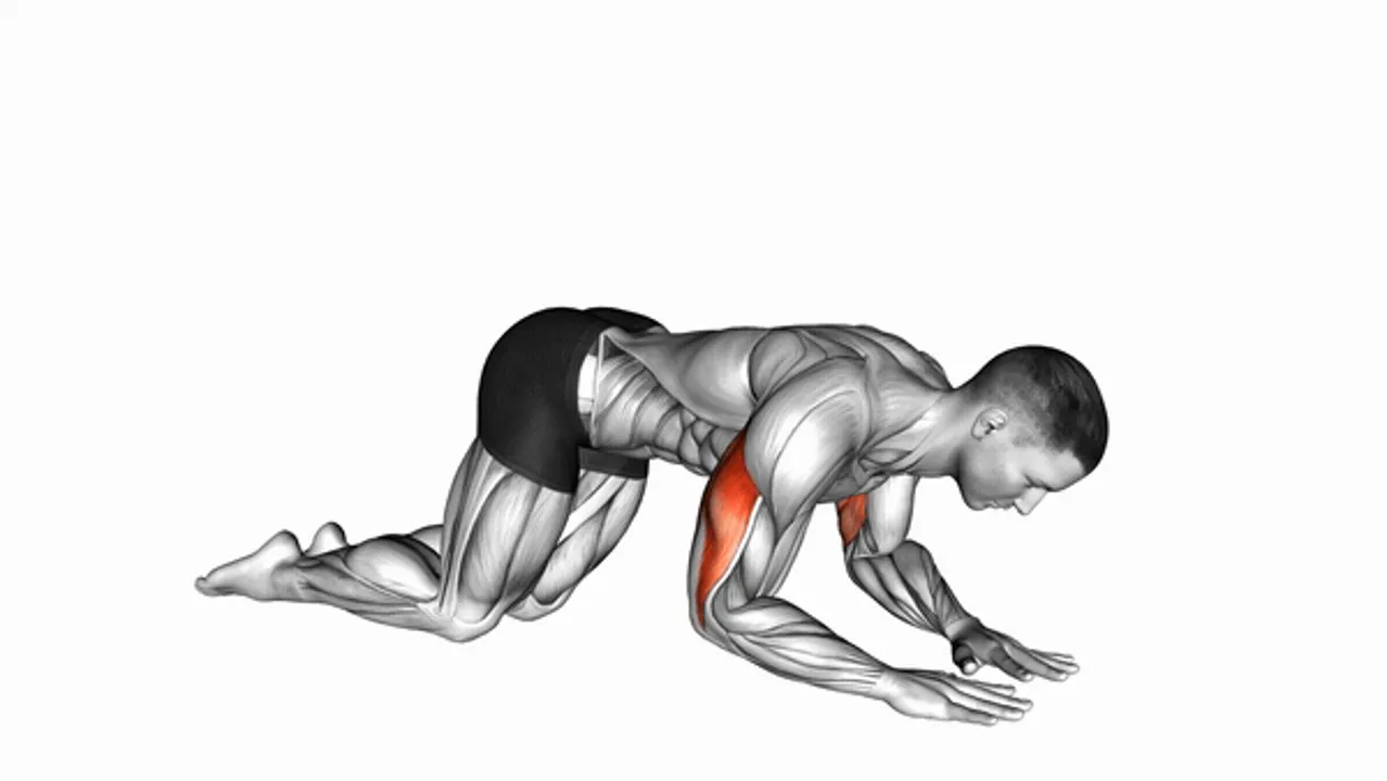 Bodyweight Kneeling Triceps Extension