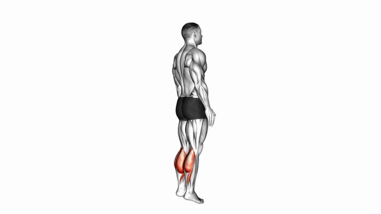 Common variations of Bodyweight Standing Calf Raises Image