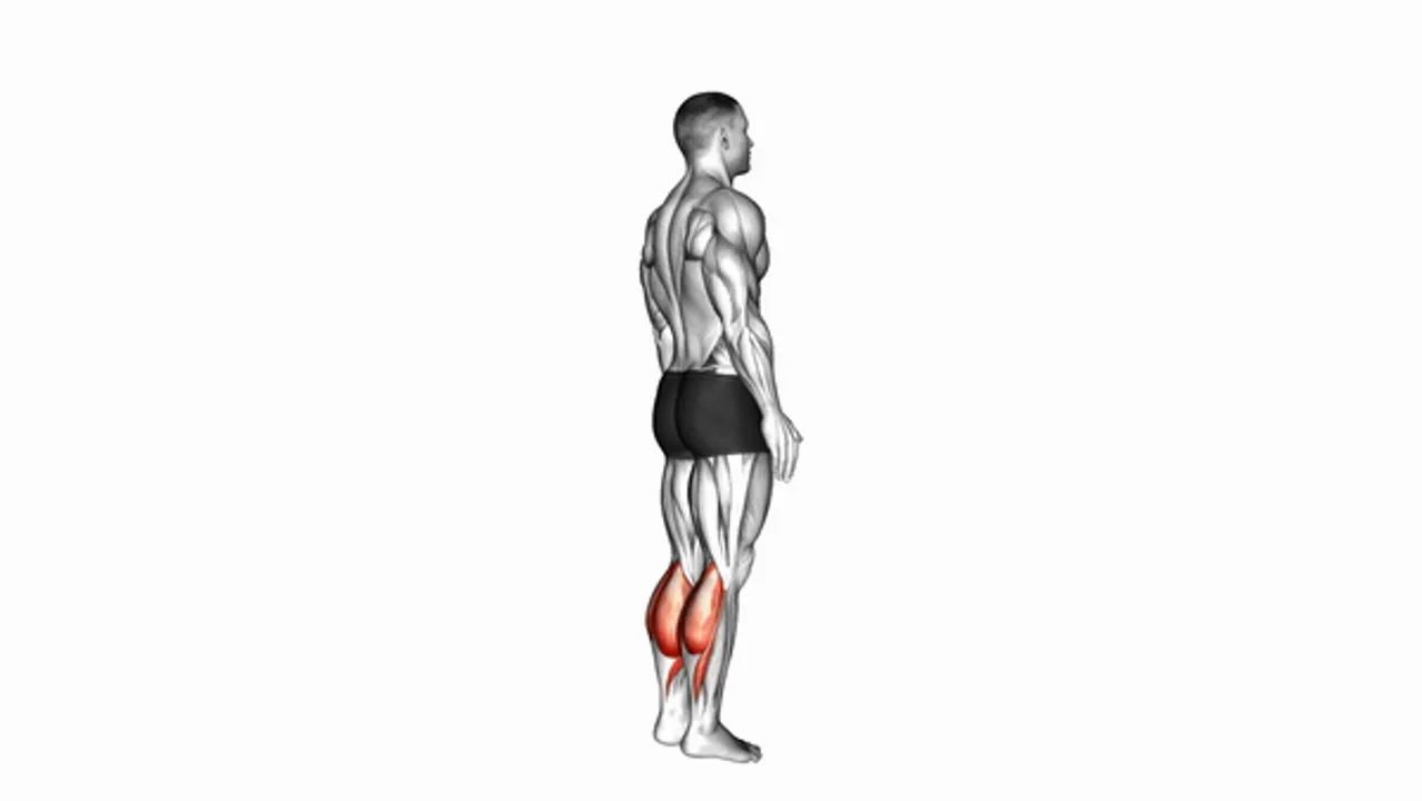 Bodyweight Standing Calf Raises