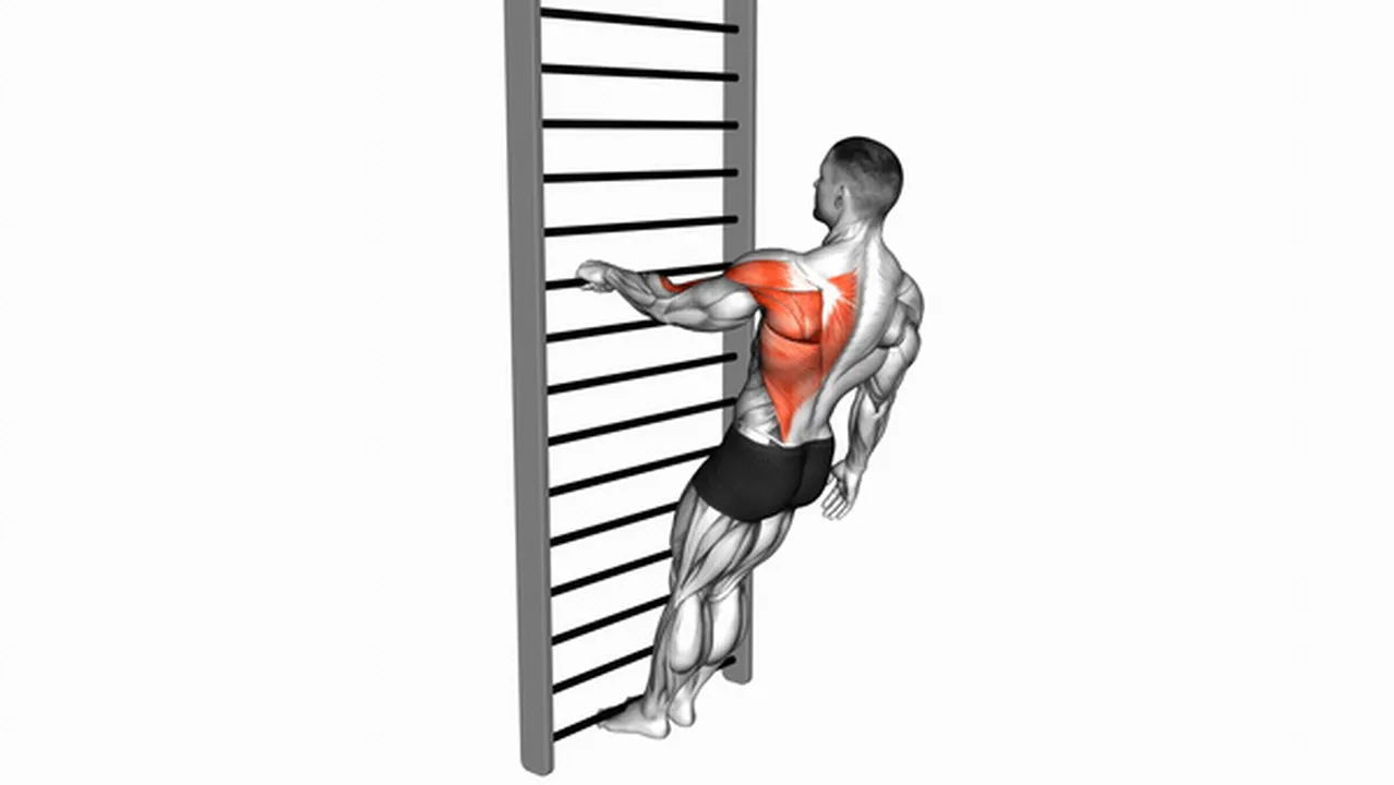 What are the benefits of the Bodyweight Standing Close-Grip One-Arm Row? Image