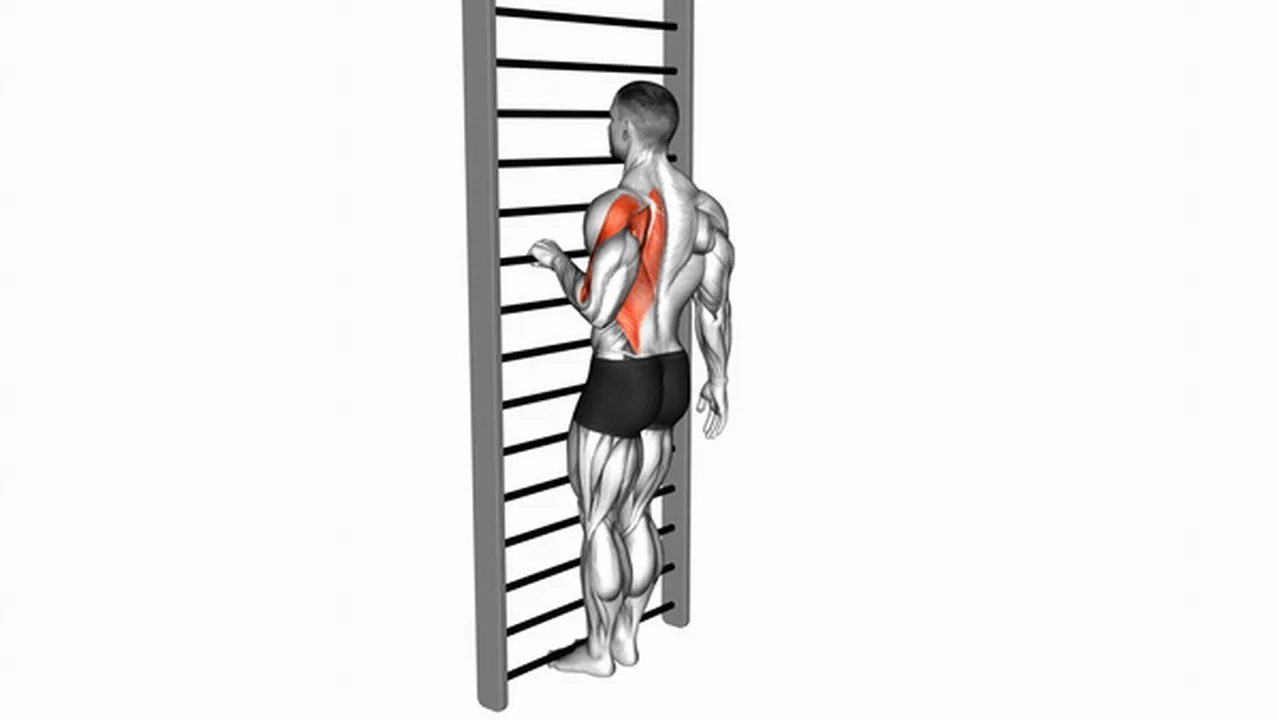 How to do the Bodyweight Standing Close-Grip One-Arm Row? Image