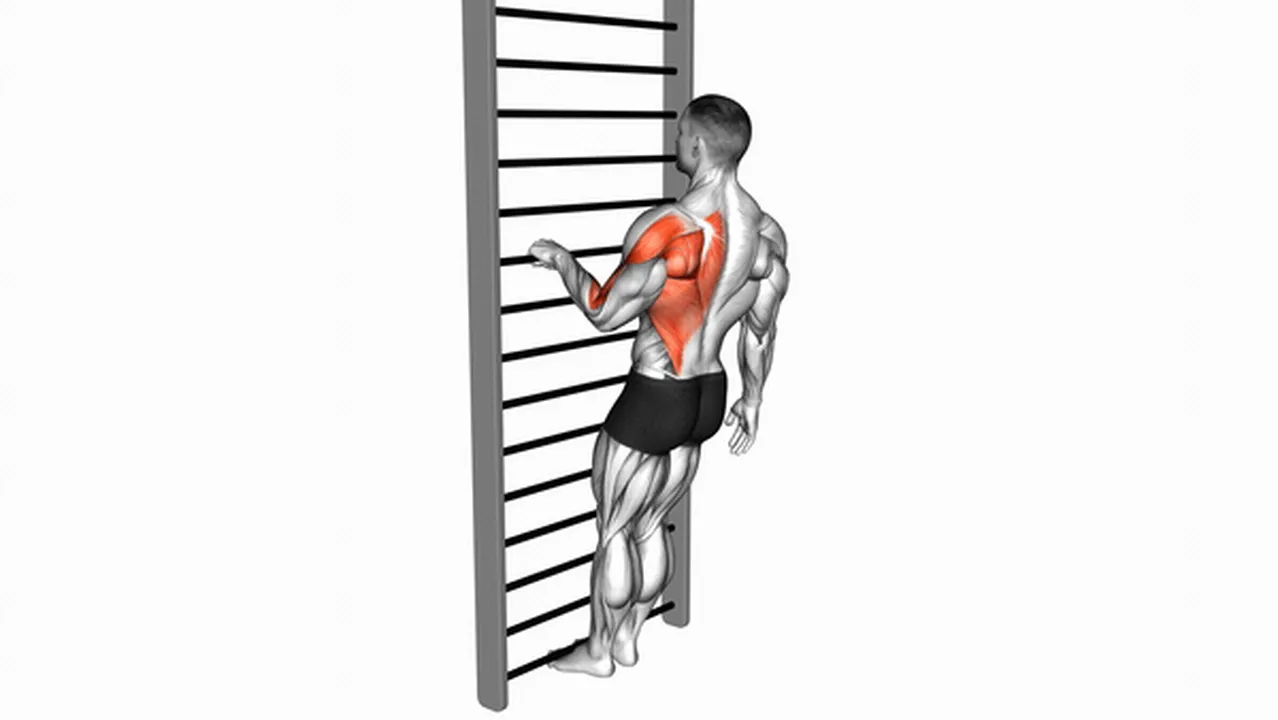 Common variations of the Bodyweight Standing Close-Grip One-Arm Row Image