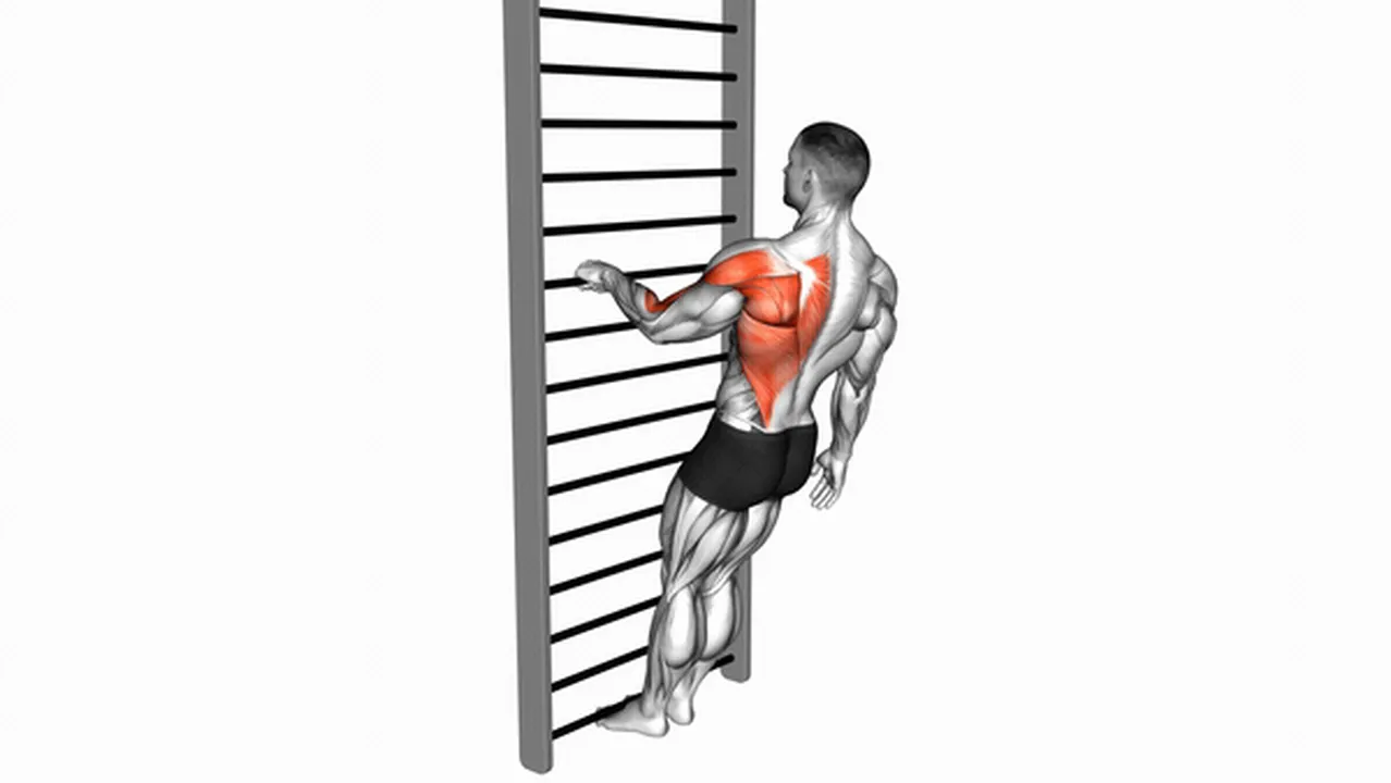 Alternatives to Bodyweight Standing Close-Grip One-Arm Row Image