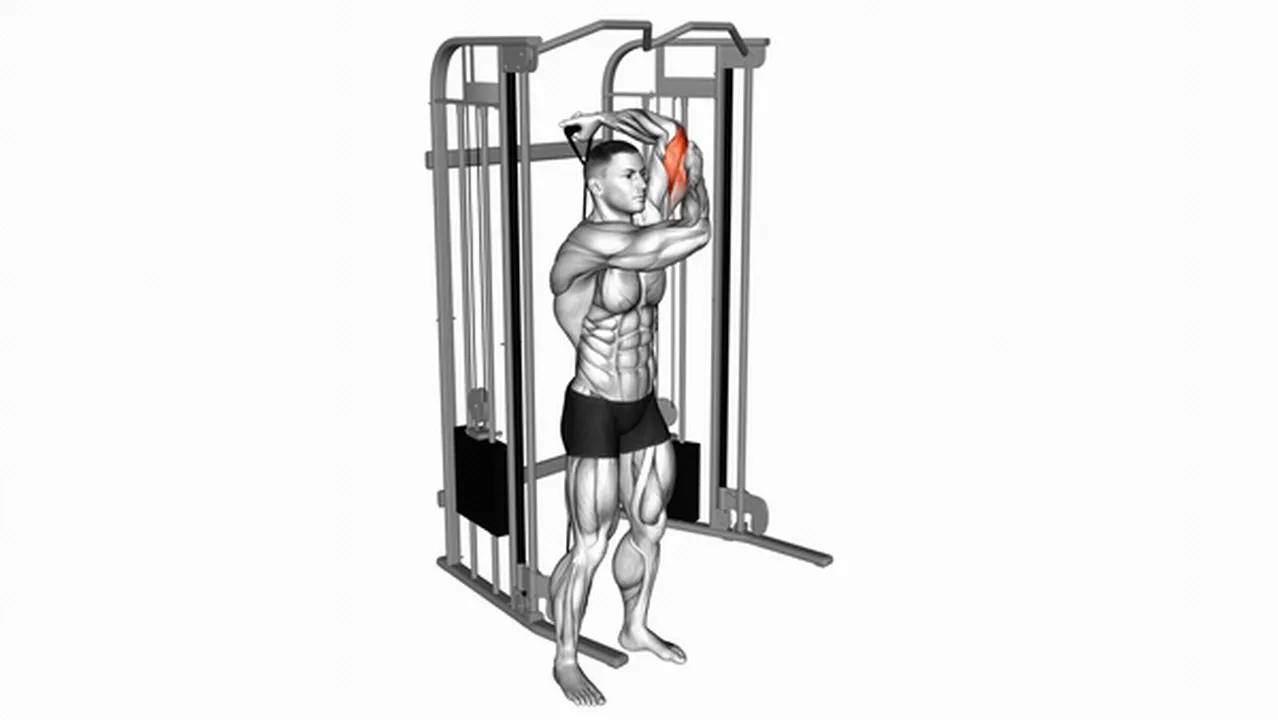 How to do Cable Alternate Triceps Extensions? Image