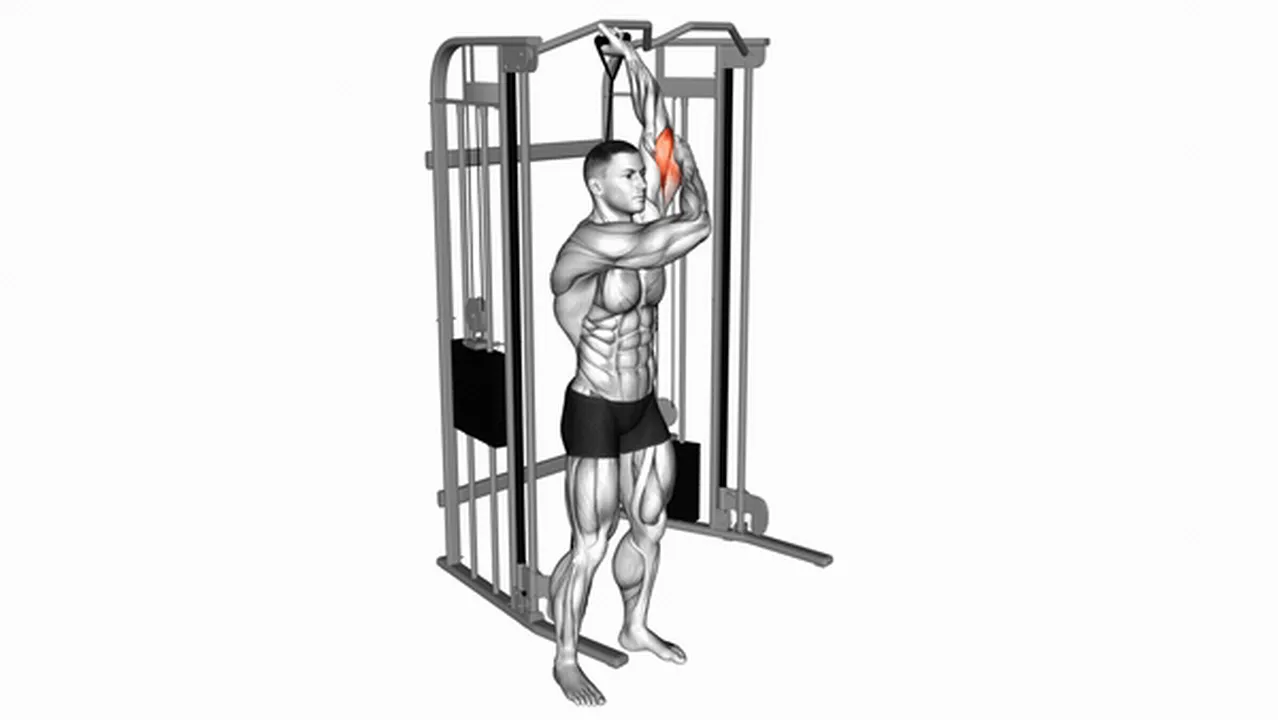 Common variations of Cable Alternate Triceps Extensions Image