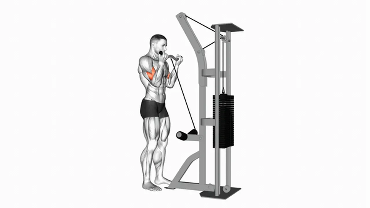 What are the benefits of Cable Biceps Curls (SZ Bar)? Image