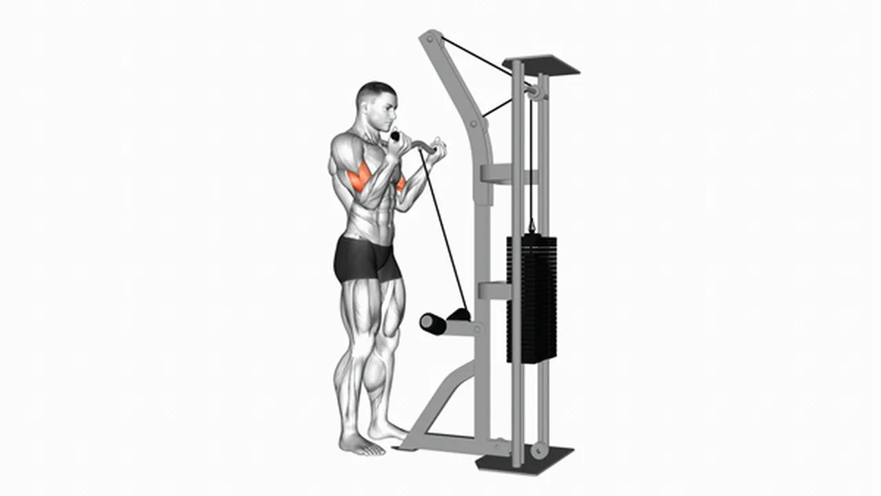 How to do Cable Biceps Curls (SZ Bar)? Image