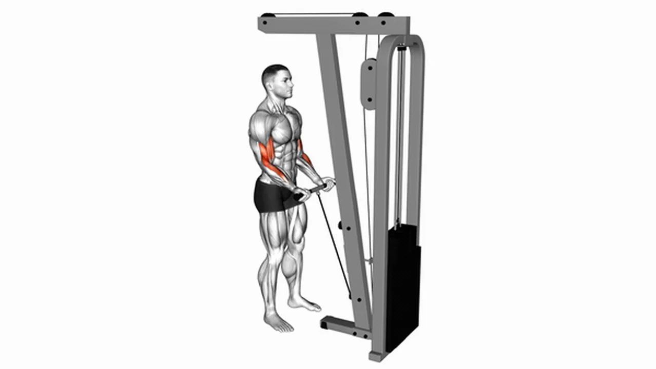 Common cable close grip curl variations Image