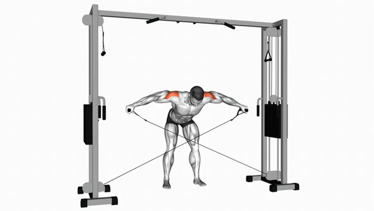 Common variations of Cable Crossover Reverse Fly Image