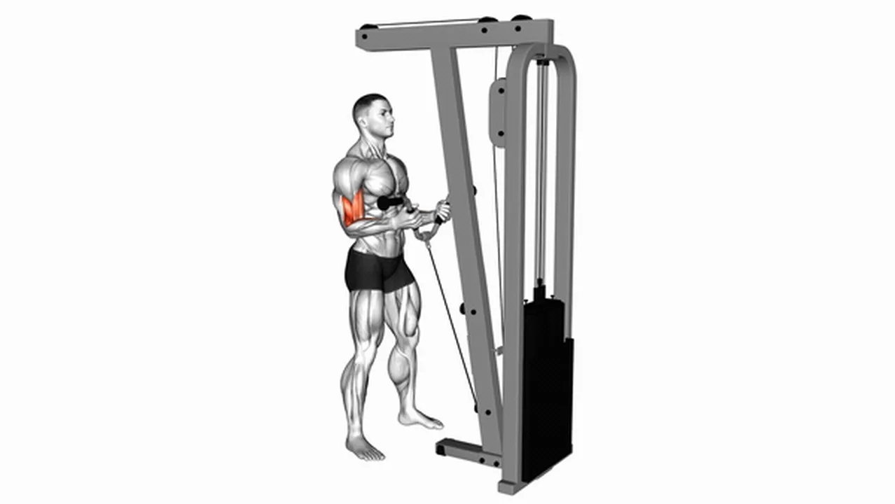 What are the benefits of Cable Curls with Multipurpose V-Bar? Image