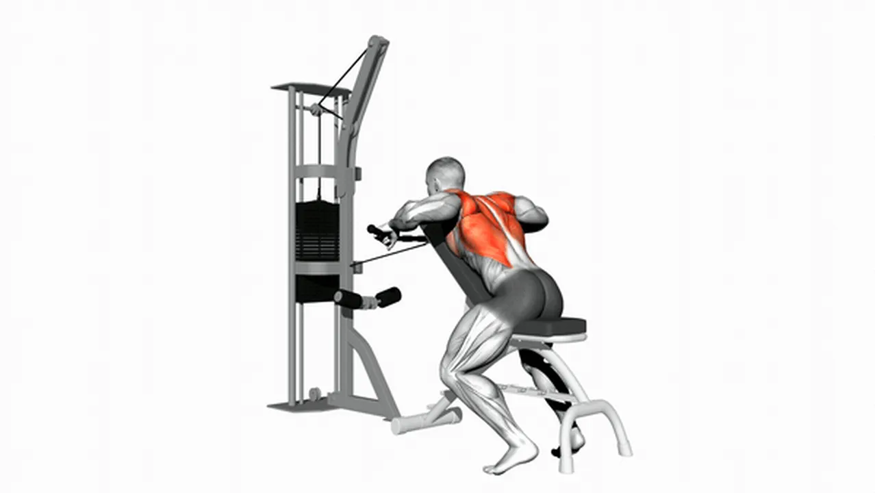 Common mistakes during Cable Decline Seated Wide Grip Row Image