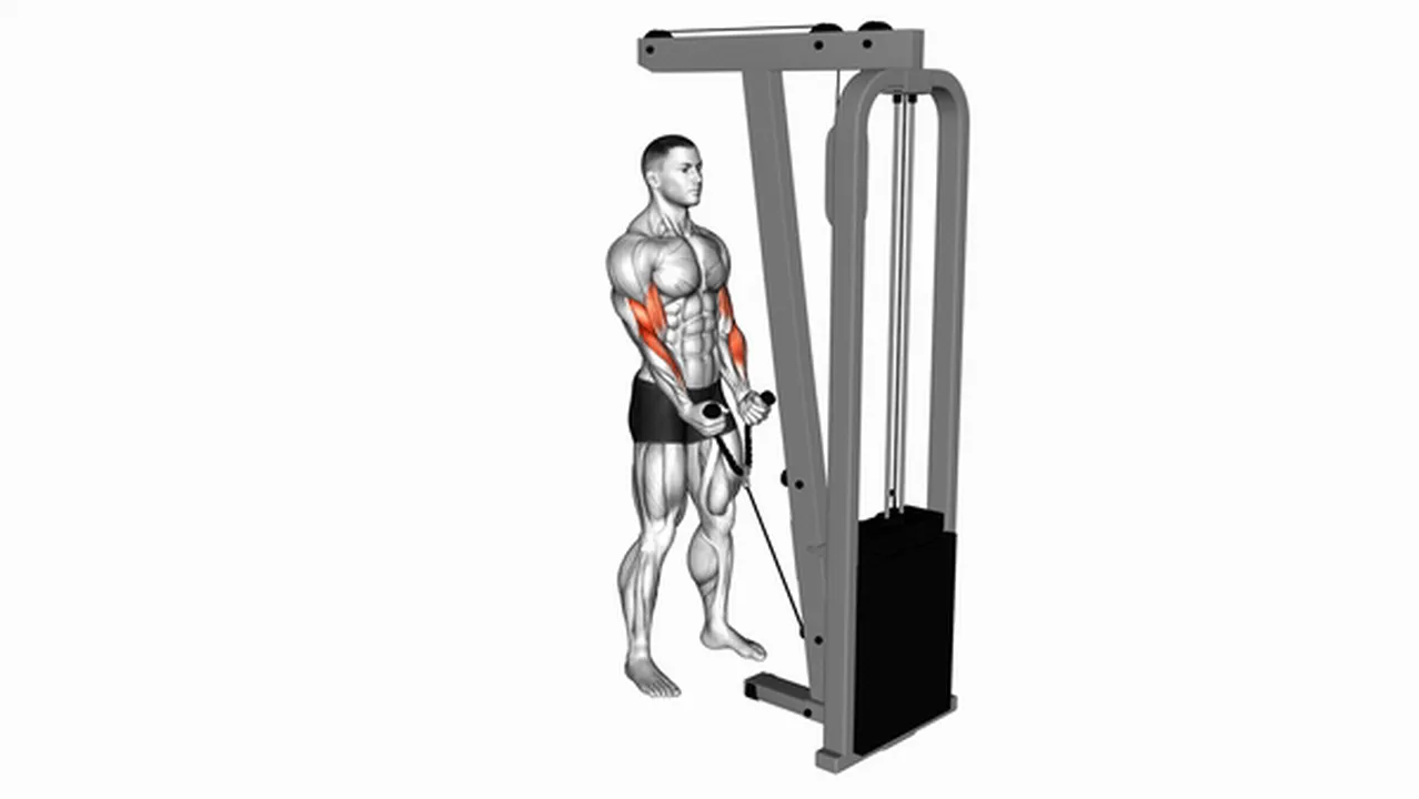 What are the benefits of Cable Hammer Curls? Image