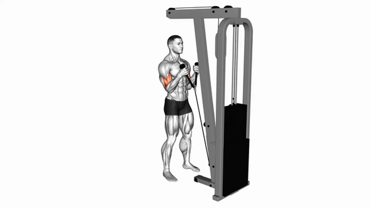 Common Cable Hammer Curl variations Image