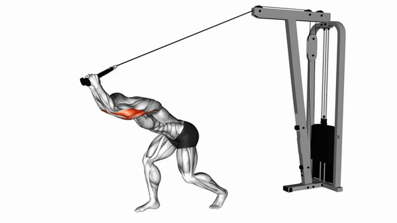 How to do Cable High Pulley Overhead Tricep Extensions? Image