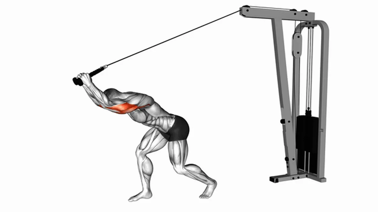 Common variations of Cable High Pulley Overhead Tricep Extensions Image