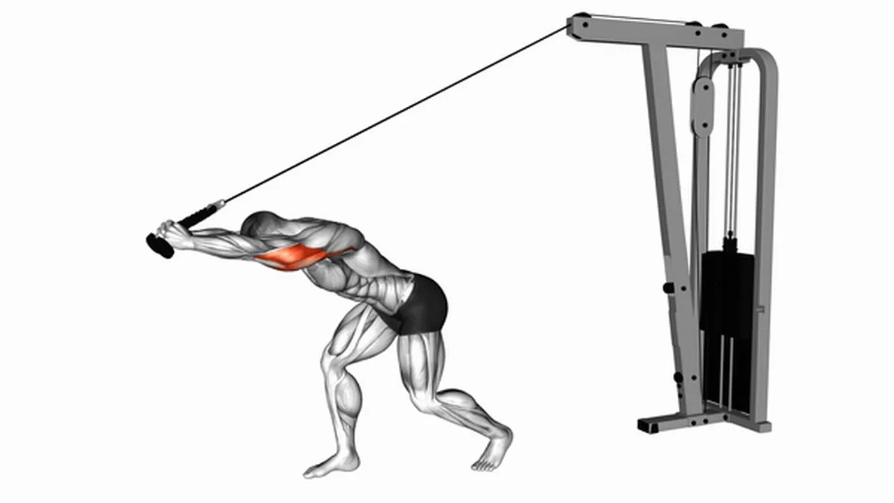 Alternatives to Cable High Pulley Overhead Tricep Extensions Image