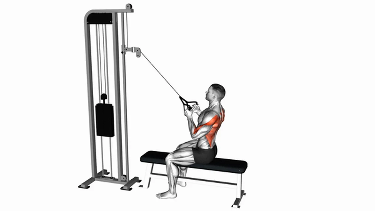 What are the benefits of Cable High Rows? Image