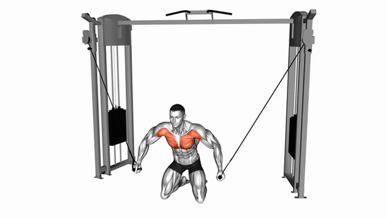 Common Cable Kneeling High to Low Fly variations Image