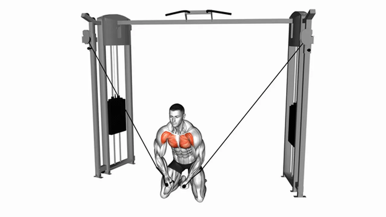 Alternatives to Cable Kneeling High to Low Fly Image