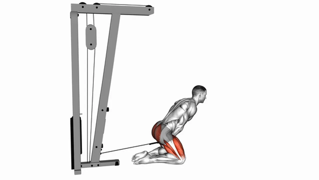 Common cable kneeling pull through variations Image